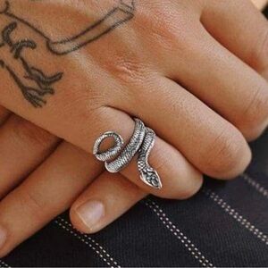 Bestyle Punk Gothic Snake Rings for Men or Women, Stainless Steel Serpent Wrap